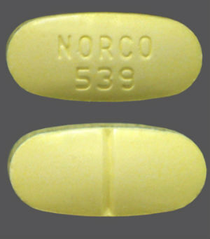 Norco opioid pain medication used by dentists